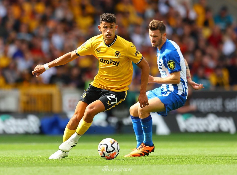 曾凡博能否 曾凡博能否